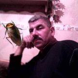 lazri, 65 ans, Bordj Bou Arreridj, Algérie