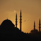 kader, 53 ans, Montreal, Canada
