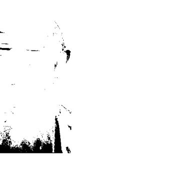 Youcef Ben, 67 ans, Oran, Algérie