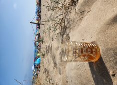 Said, 44 ans, Homme, Annaba, Algérie