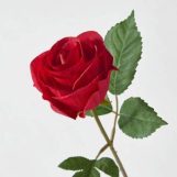 ABDERRAHMAN, 41 ans, Casablanca, Maroc