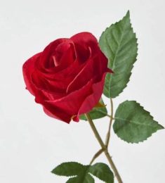 ABDERRAHMAN, 41 ans, Homme, Casablanca, Maroc