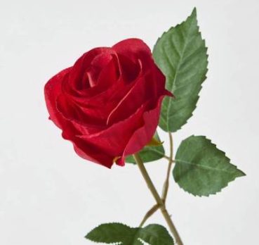 ABDERRAHMAN, 41 ans, Casablanca, Maroc